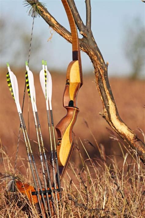 Great bows for hunting - Diamond Archery Edge 320 Compound Bow Package. Diamond is another well-known bow company that makes great bows for beginners. Their Edge 320 is one …
